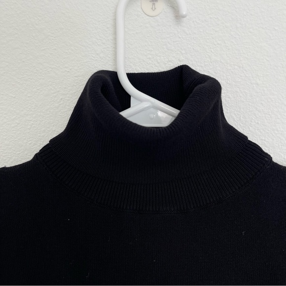 Zara Dotted Sheer Sleeve Turtleneck - Picture 6 of 9